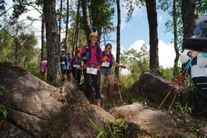 BIB: 1475
                            <button type="button" onclick="openModal(18945641)" class="btn btn-primary btn-sm float-right btn-popup" data-toggle="modal" data-target=".modal-high-quality">
                        <i class="fas fa-shopping-cart"></i> Add to Cart
                    </button>
                                            <button type="button" onclick="isThisMe(18945641, true)" class="btn btn-success btn-sm float-right btn-popup btn-isme hidden" data-toggle="tooltip" data-placement="bottom" title="นี่คือรูปของคุณใช่ไหม คลิกที่นี่เพื่อเอาเข้าอัลบั้ม">
                        <i class="fas fa-plus"></i> Add to album
                    </button>
                    <button type="button" onclick="isThisMe(18945641, false)" class="btn btn-warning btn-sm float-right btn-popup btn-isnotme hidden">
                        <i class="fas fa-ban"></i> Remove from album
                    </button>